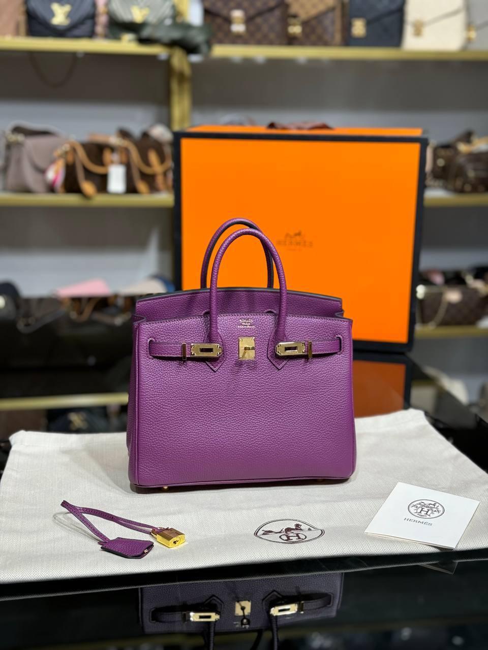 H Birkin 25 Togo Genuine Leather